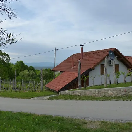 Vineyard Mavrica *