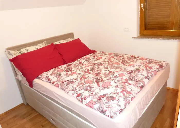 Vineyard Mavrica Dragatuš